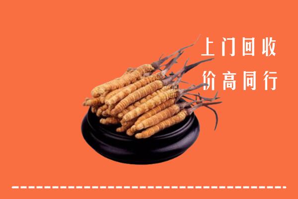 高价求购：台州市仙居回收散虫草