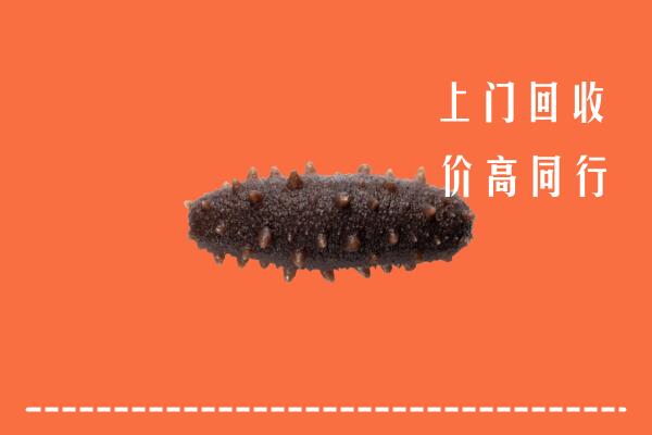 高价求购：台州市仙居回收海参