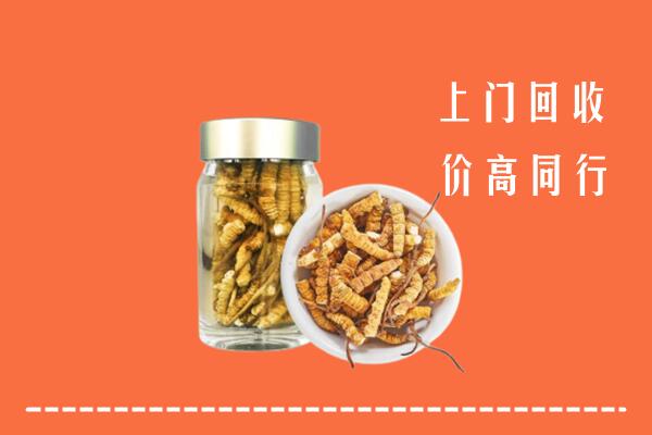 台州市仙居回收冬虫夏草